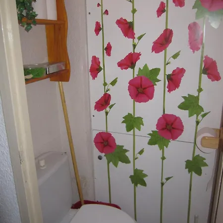 F2 Grand Confort En Face Du Telecabine Apartment *